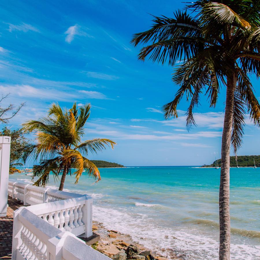 People walking along a paved sidewalk  in front of the ocean in Vieques.