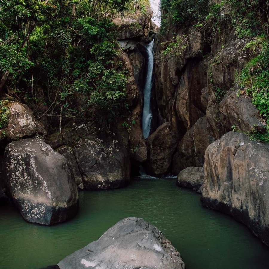 Guide To Visiting El Yunque National Forest | Discover Puerto Rico