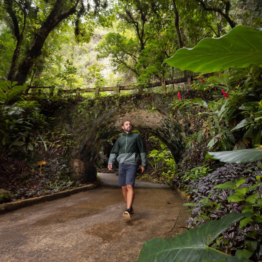 Man walking in the forest.