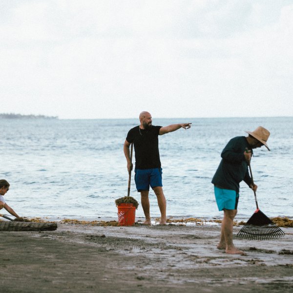 Beach cleanup