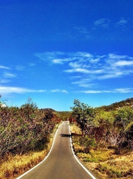 Camino a través del Bosque Estatal y Reserva de la Biosfera de Guánica, un bosque seco.