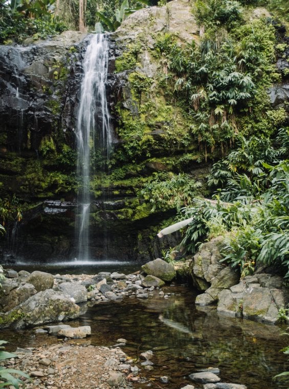 The Las Delicias waterfall in Ciales