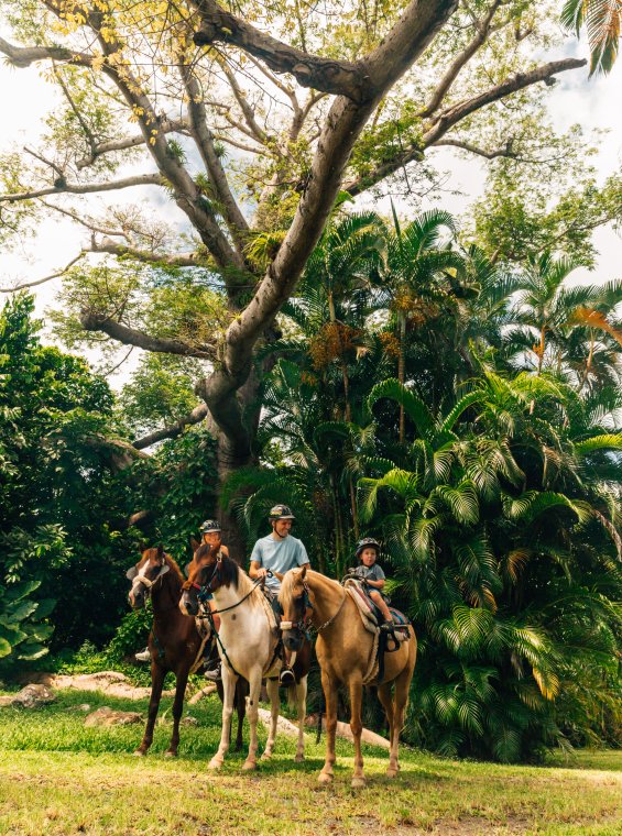 Una familia de tres personas va a pasear a caballo en una exuberante hacienda.