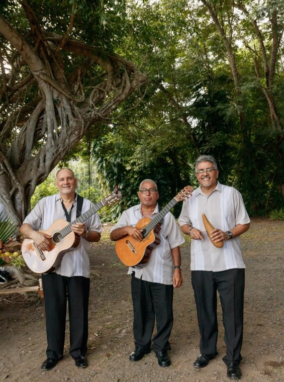 Boricua musicians in front of a tree.